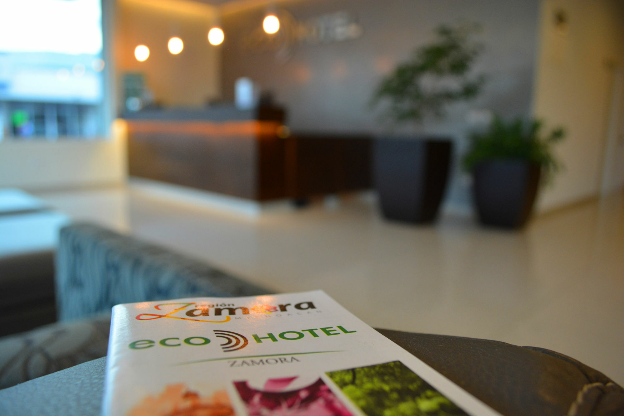 Eco Express Hotel Zamora Самора де Идалго Екстериор снимка